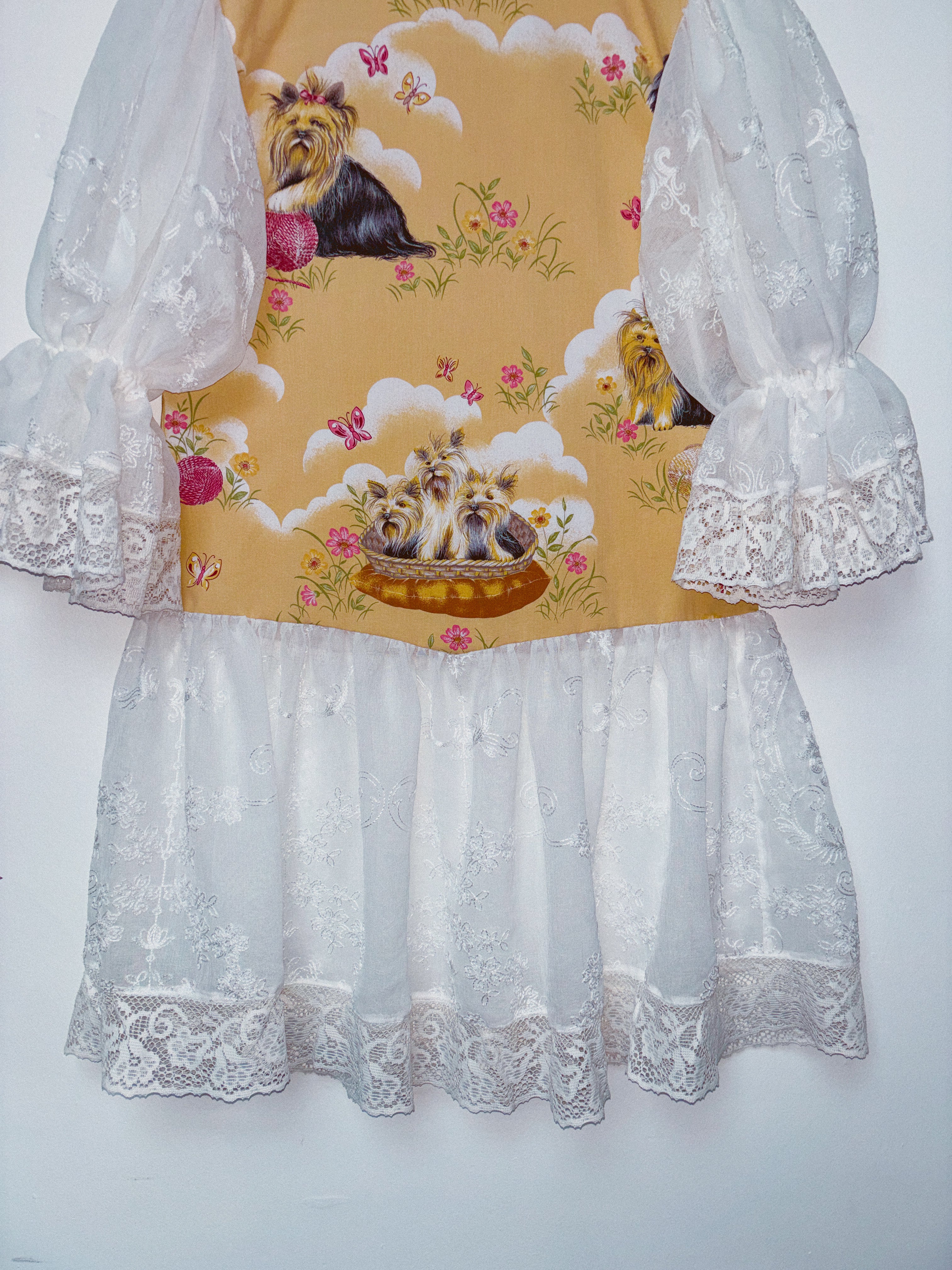 Cute Dogs in a Basket Princess Dress