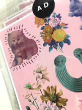 Kitten & Floral Pink Art Print